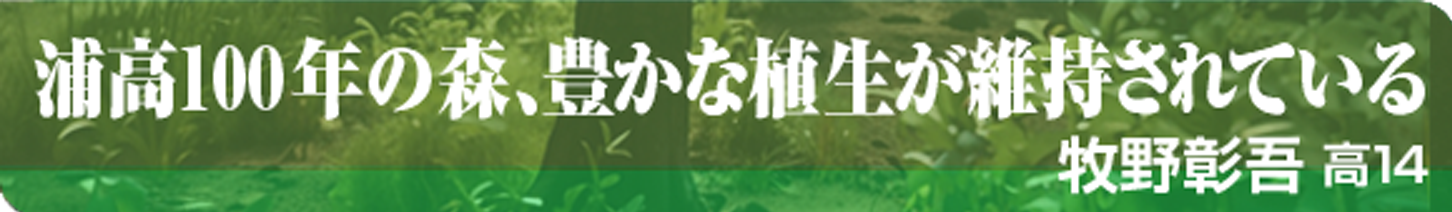 浦高100年の森、豊かな植生が維持されている